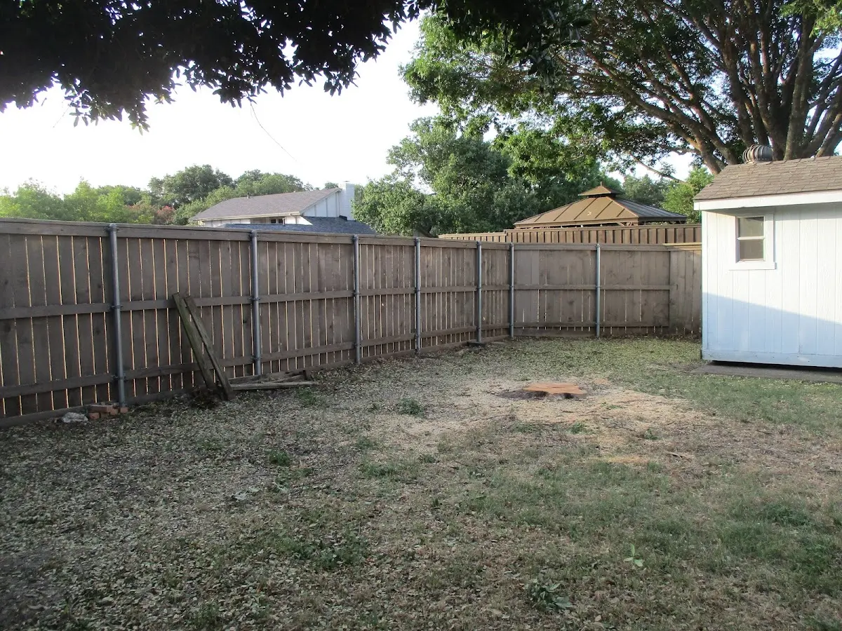 Cleared yard after professional tree removal in Dedham